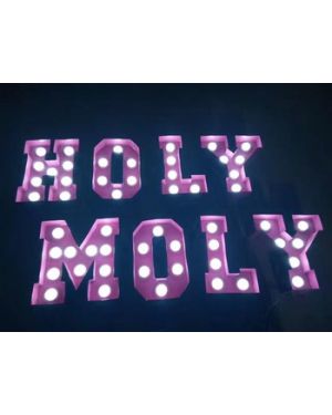 Bulb Lights 3D LED Letters Logos  (Quote for price)