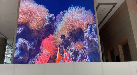 6x6 Meters Indoor LED Screen for Forest Center in WA